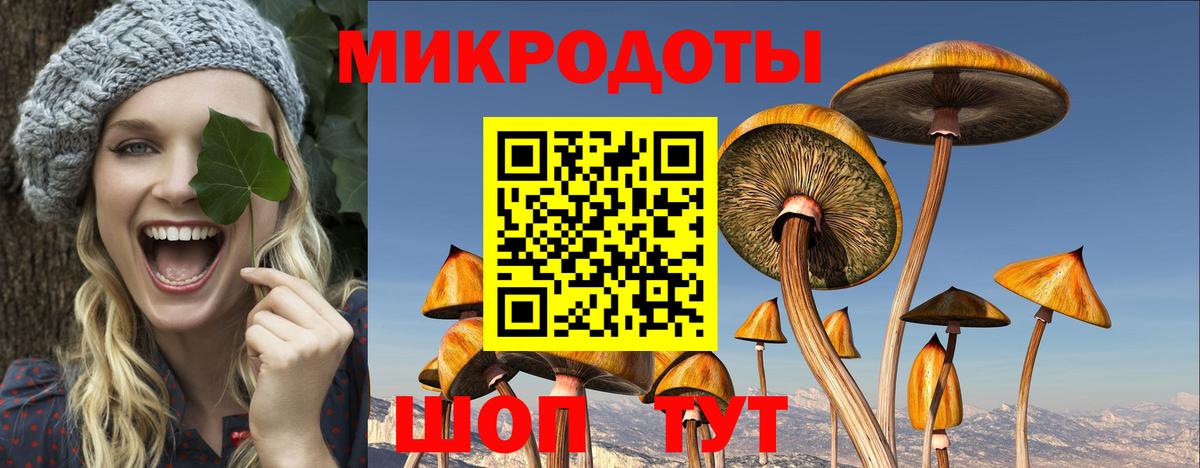 Россия  Псилоцибиновые грибы Cubensis  Вход с VPN  Галлюциногенные грибы прущие грибы 